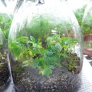 손해평가사 1차 - 재배학 및 원예작물학 이미지