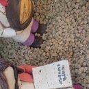 군산학생교육문화관 이미지