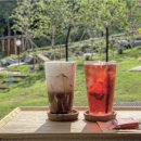 푼타하우스 이미지