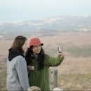 소원민박 이미지