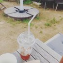 마크로스터스 이미지