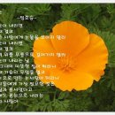 봄눈 / 詩 정호승 이미지