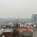 오파토 이미지