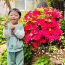 새나래유치원 이미지