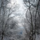 1월 정기산행 영월 백덕산(1350m) 눈꽃산행~~~ 이미지