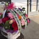 정주화원 이미지