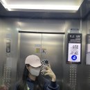 프리도그맘 네이버블로그
