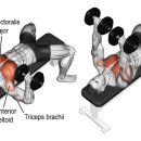 V10휘트니스 이미지