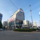 사주포차