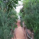 양선농장 이미지