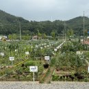 진주텃밭 이미지