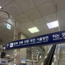 정동진회집식당 | 나의 최애 바다 '정동진' 1박 2일 여행 리뷰 (+뚜벅이 꿀팁)