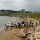 [공수마을]조간대체험 네이버블로그