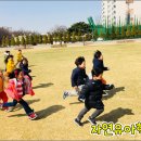 숲넘어