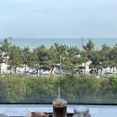 [부산송정카페] 송정바다가 한눈에 보이는 조용한 송정오션뷰카페 쿠무다카페 '인얼스커피 송정점'