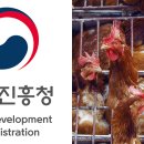 시원개발