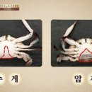 지금먹고싶다 이미지