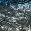 내돈내산 그랜드조선 제주 힐스위트 태교여행 패키지 후기