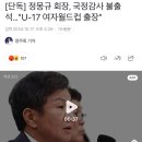 정몽규 회장, 국정감사 불출석…"U-17 여자월드컵 출장" 이미지