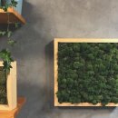 친환경 그린 가드닝 이미지