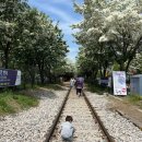 북전주모터스 이미지