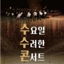 안산시립예술단 상설공연, 수요일 수려한 콘서트 | 경희애문화, 공연전시, 안산시립예술단과 함께하는 수수콘(수요일 수려한 콘서트)