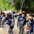 봉의초등학교 병설유치원 이미지