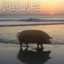 송아지다방 - 미추홀구 | 23은 분유냄새나겟징🛍️🐽💕