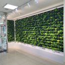 삼동면행정복지센터 이미지