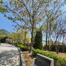 마동 체육공원 이미지