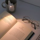 주식회사 일등 | 드디어 찾은 북라이트 아이리버 LED 클립 독서등 후기