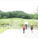 심충겸선생 묘 및 신도비 이미지