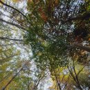 청룡저수지 이미지