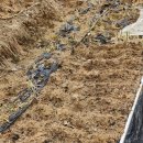 상한농장 이미지