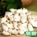 호산목장 이미지