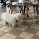 미미 | 광안리 한식 브런치 맛집 | 미미락락 방문 후기