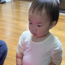 현대양말