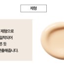 인셀덤데일리