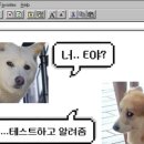더링크잇
