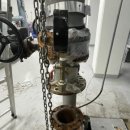 리스체크 이미지