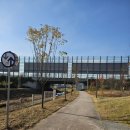 장지천 화장실 이미지