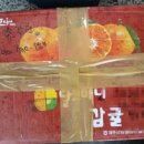 주미 농장 이미지