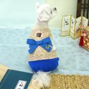 코디펫 - 화성시 매송고색로 368 | 코디펫