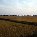 유토피아 이미지