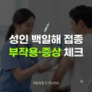 코쿠닝 COCOONING | 성인 백일해 예방접종 부작용·증상 총정리 (Tdap 접종 전 확인)