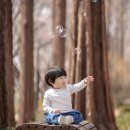 도진빌딩 | 도진이 [봄 스냅] 촬영[눈부신 일상]강남점 양재천 스냅 찍기 아기사진 가족사진 후기