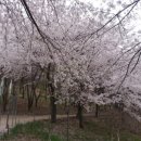 백양산임도 이미지