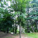 중앙근린공원(3.1공원) 이미지