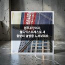 일한자동차부분정비업 | 원주 포장이사 업체 선정 시 절대 실패하지 않는 5가지 기준