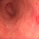 장새로내과의원 이미지